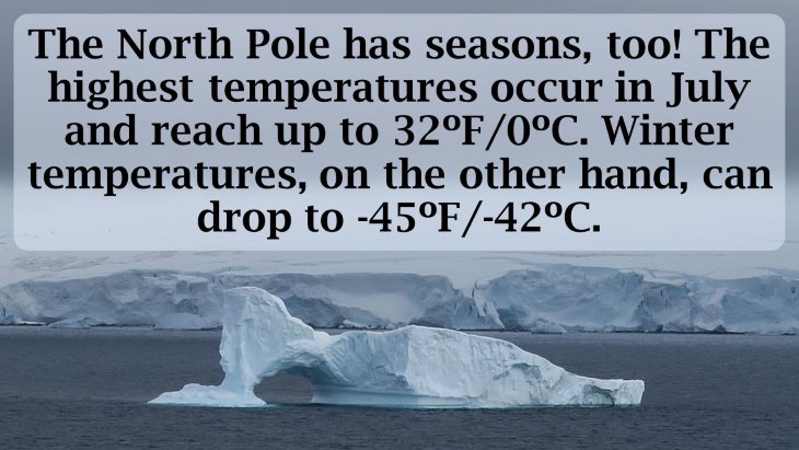 12 Fun Facts About the North Pole Few People Know!