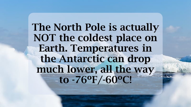 12 Fascinating Facts About the North Pole The North Pole is actually NOT the coldest place on Earth. Temperatures in the Antarctic can drop much lower, all the way to -76ºF/-60ºC!