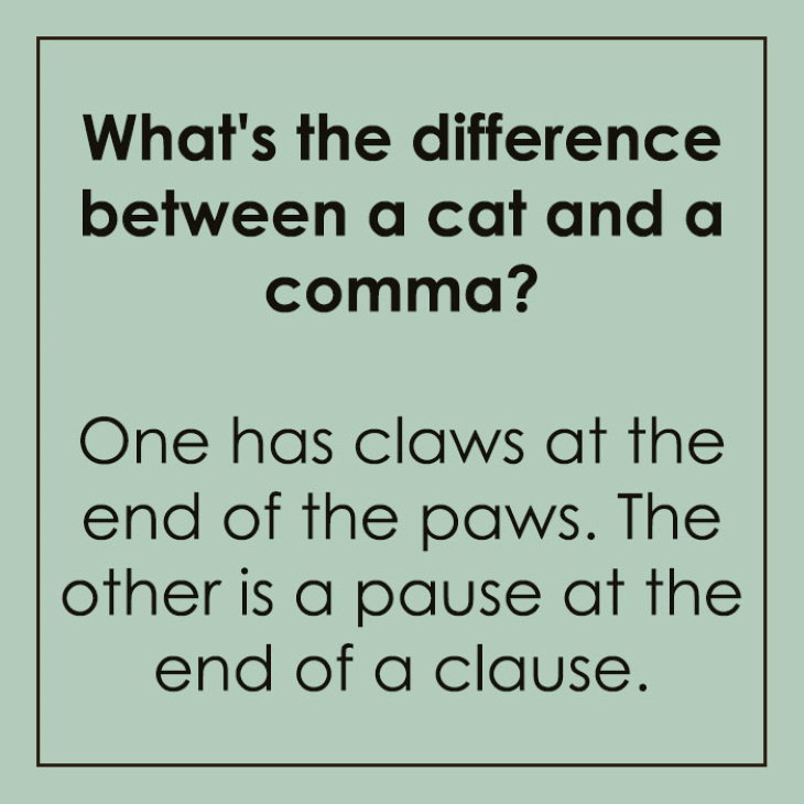 Clever Language Jokes and Puns cat and comma