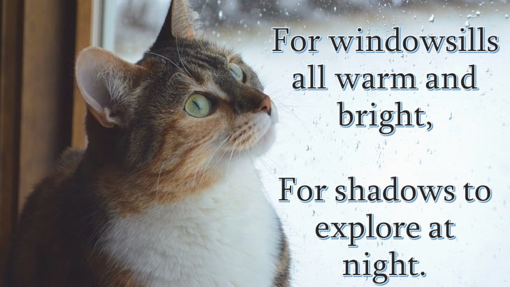 cat prayer For windowsills all warm and bright, For shadows to explore at night.
