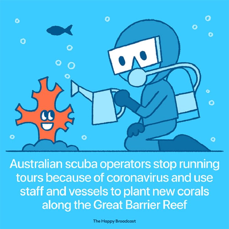  Illustrated News Stories , corona, corals 