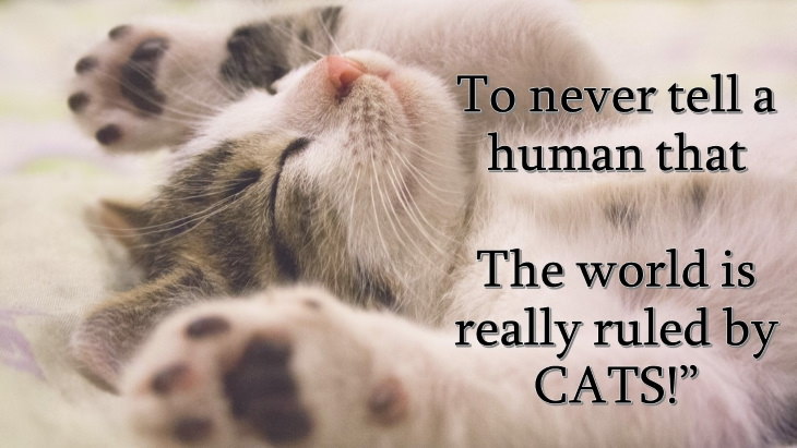 cat prayer To never tell a human that The world is really ruled by cats!