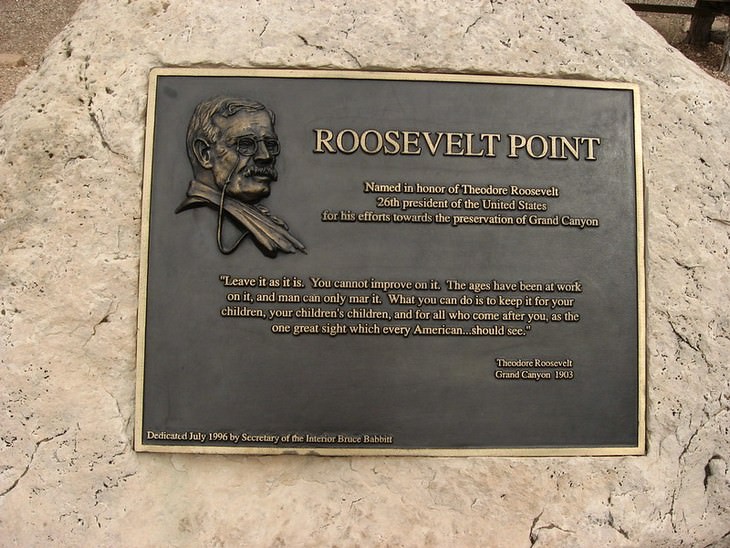 Roosevelt Contributed A Lot for Grand Canyon Preservation