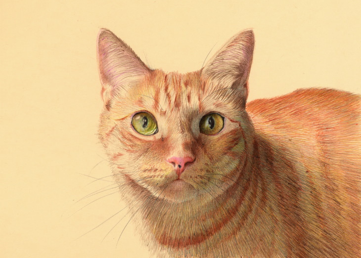Nicolas V. Sanchez Ballpoint Pen Art cat