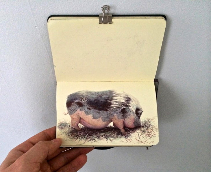 Nicolas V. Sanchez Ballpoint Pen Art pig