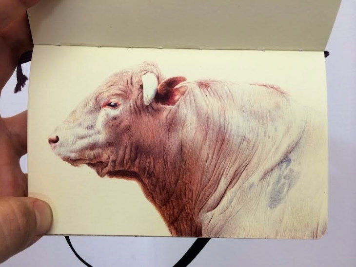Nicolas V. Sanchez Ballpoint Pen Art cow