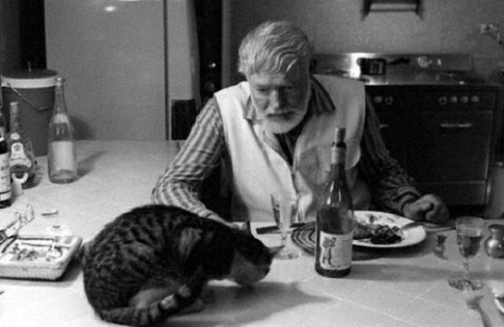  Historical Pics ,Ernest Hemingway, cat