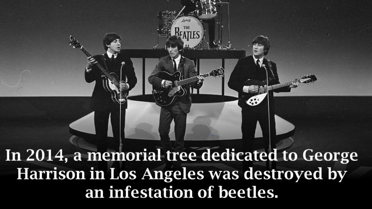 12 Ironic Stories from History Beatles