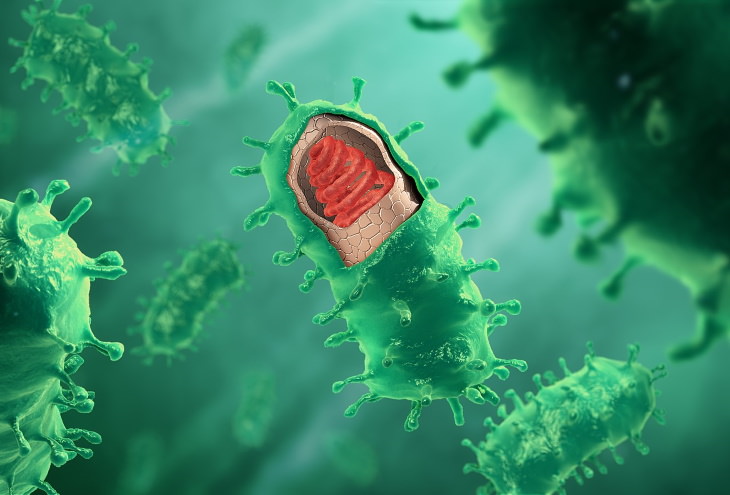 The 12 Deadliest Viruses in Human History Rabies
