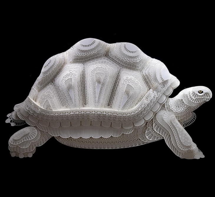 Patrick Cabral paper wildlife Tortoise