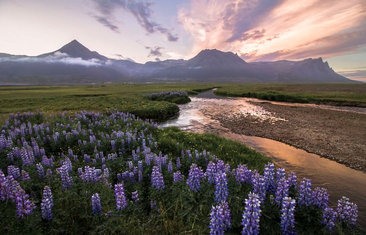 The Magic of Iceland in 15 Mesmerizing Photos  Another Summer Night Shot