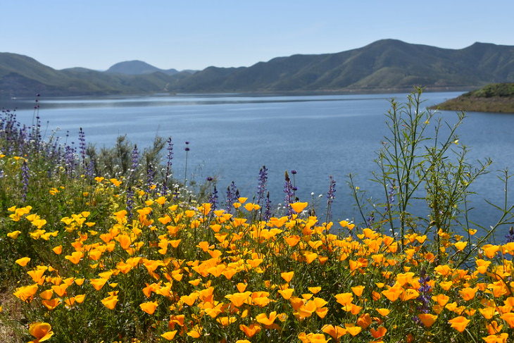 Picturesque Lakes in the US Diamond Valley Lake, California