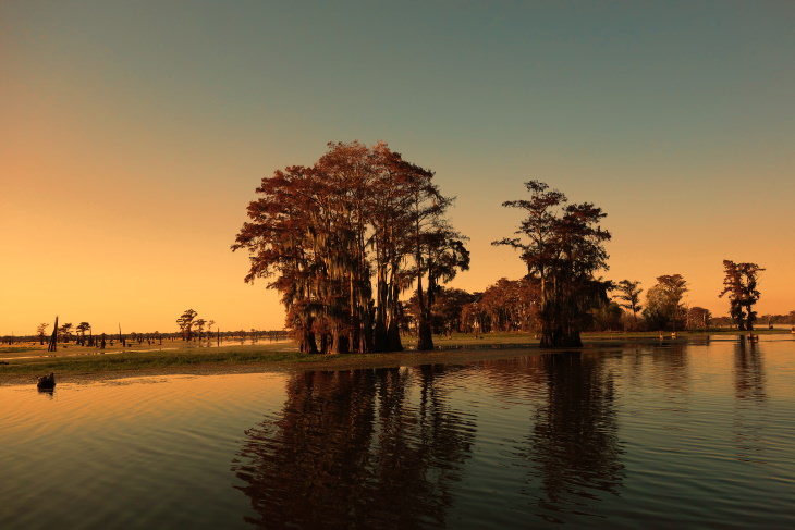 Picturesque Lakes in the US Lake Martin, Louisiana