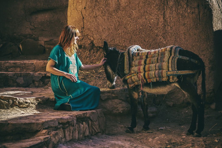 Morocco Photography by Aurel Paduraru donkey
