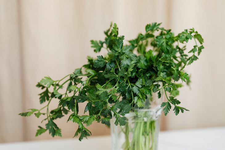 Food Storage Tips parsley in vase