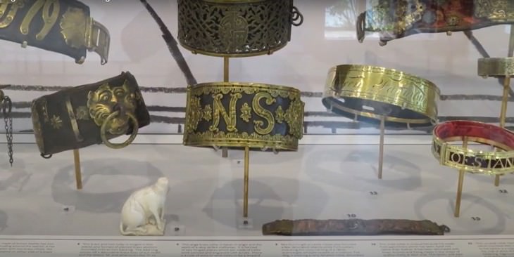 10 Strangest Museums Around the World Dog collars