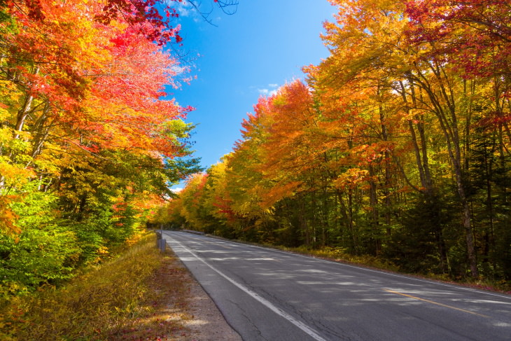 Scenic Road Trips in the USA Kancamagus Highway, New Hampshire