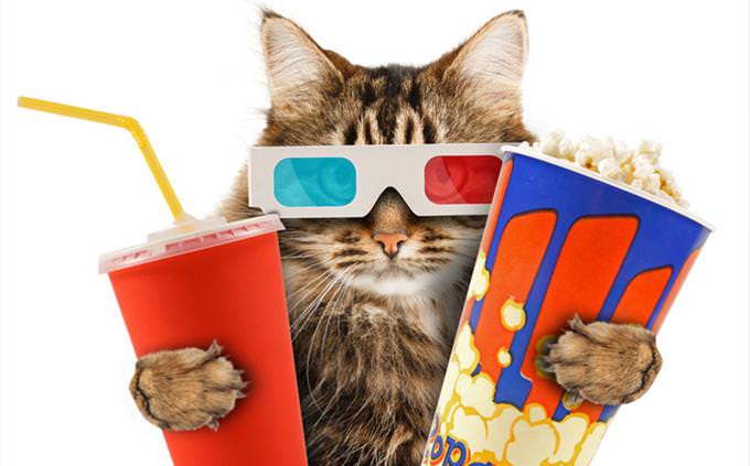 Quiz Do You Know Your 70s Popular TV Shows TV Quizzes