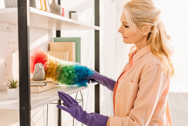 How Often To Clean and Replace Cleaning Supplies duster