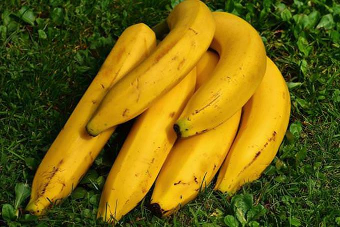 Bananas on grass