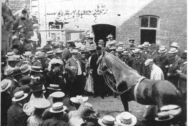 Clever Hans ​A Crowded Performance in 1904