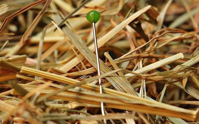 a needle in a hay stack