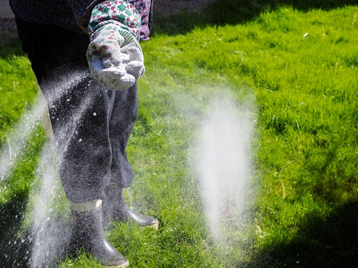 Lawn Care Tips for the Summer Season, fertilizer 