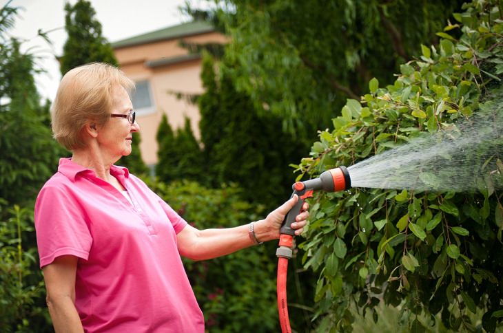 Lawn Care Tips for the Summer Season, Water your yard