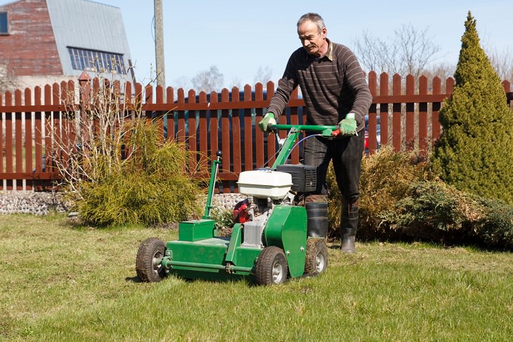 Lawn Care Tips for the Summer Season, Mowing