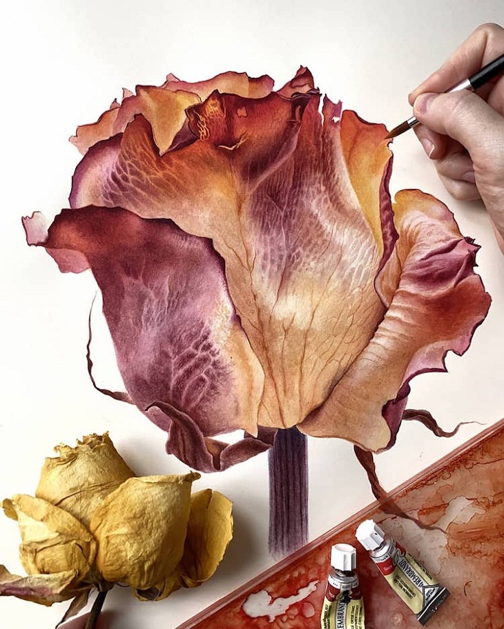 Hyperrealistic Watercolor Paintings