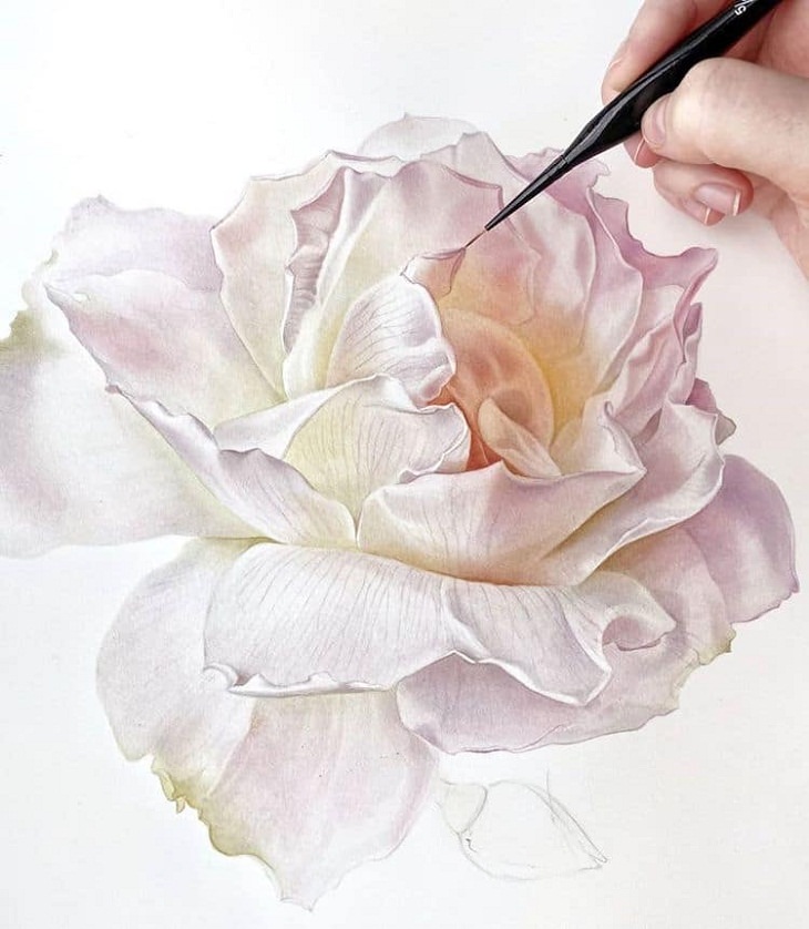 Hyperrealistic Watercolor Paintings