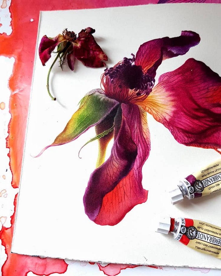 Hyperrealistic Watercolor Paintings