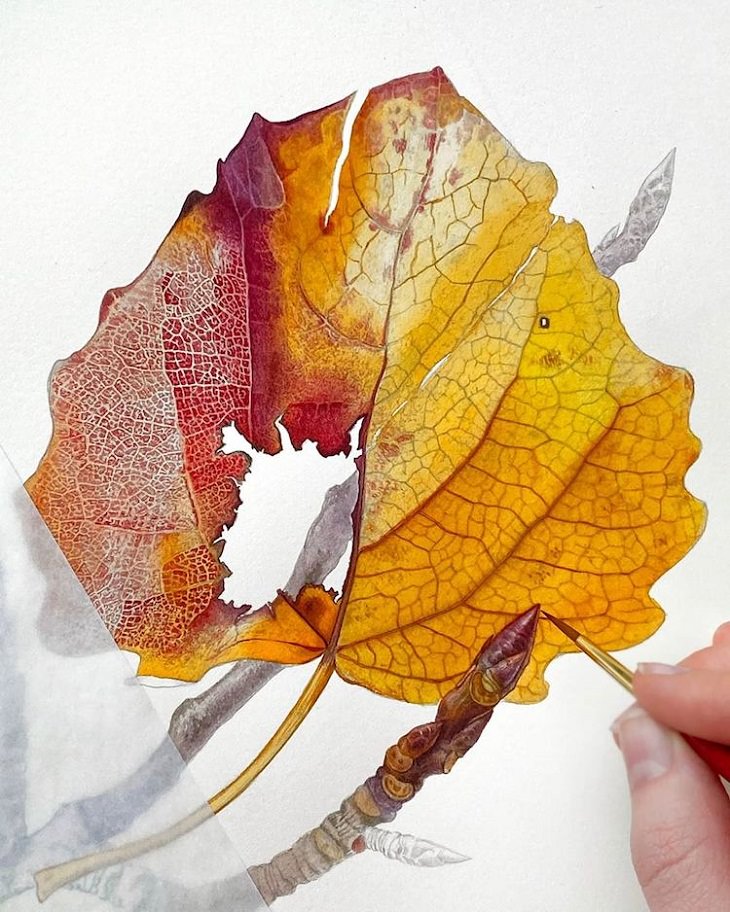 Hyperrealistic Watercolor Paintings