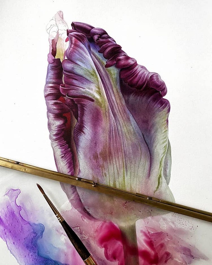 Hyperrealistic Watercolor Paintings