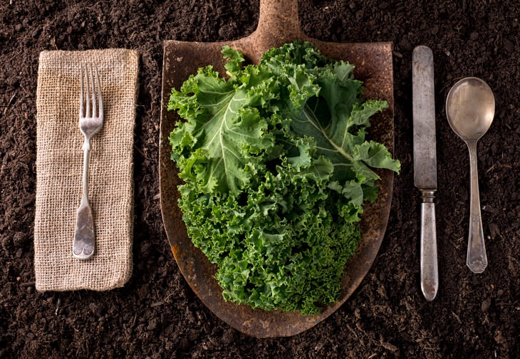 8 Common Foods That Used To Be Universally Hated kale