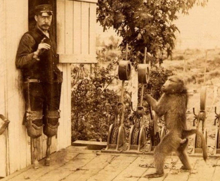 Bizarre Stories from History Jack, the Baboon Signalman and James Wide