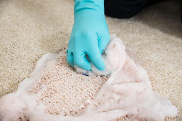 Common Floor & Carpet Cleaning Mistakes cleaning stain from carpet