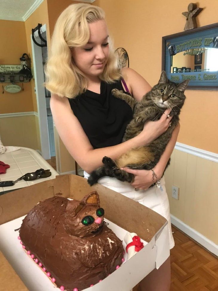 Cake Fails cat