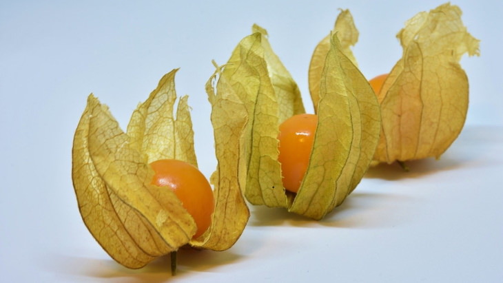 Can You Guess These Strange Fruit And Vegetables