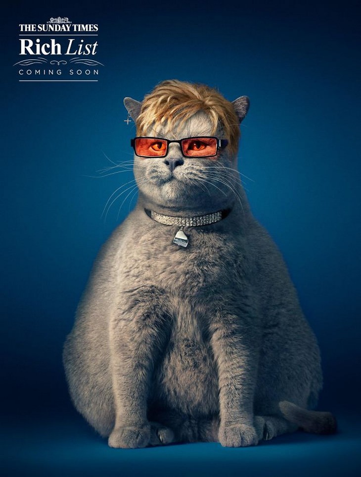 15 Hilarious Advertisements Featuring Cats