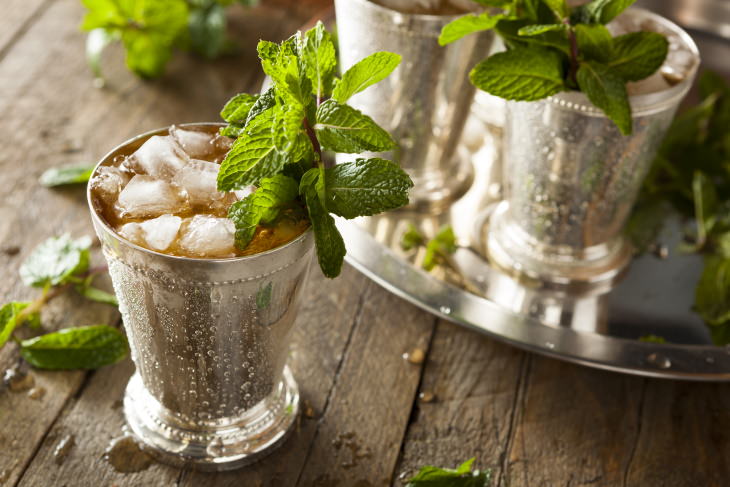 the history of famous cocktails Mint Julep