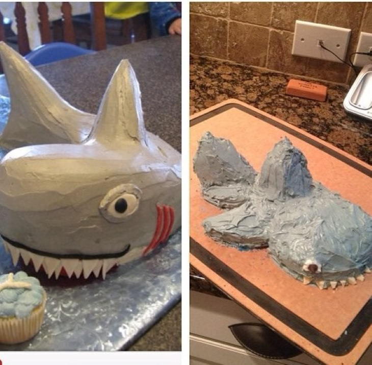 Cake Fails shark