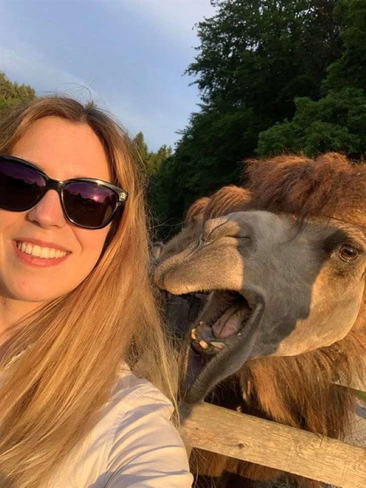 Funny Perfectly Timed Photos camel