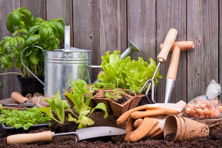 Gardening Increases Emotional Wellbeing Study Find