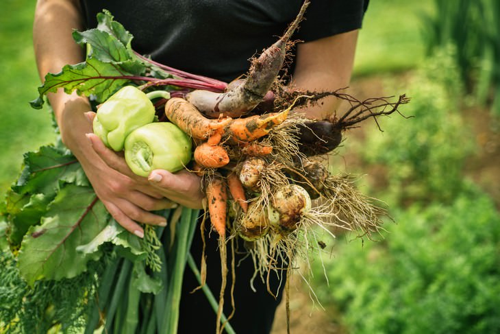 Gardening Increases Emotional Wellbeing Study Find