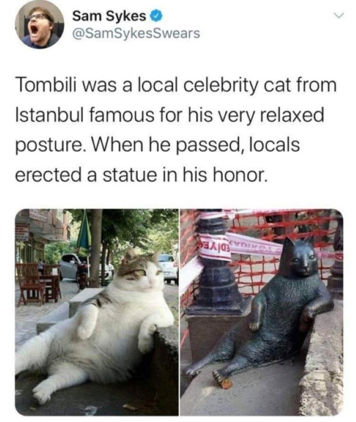 Wholesome Pics Tombili statue