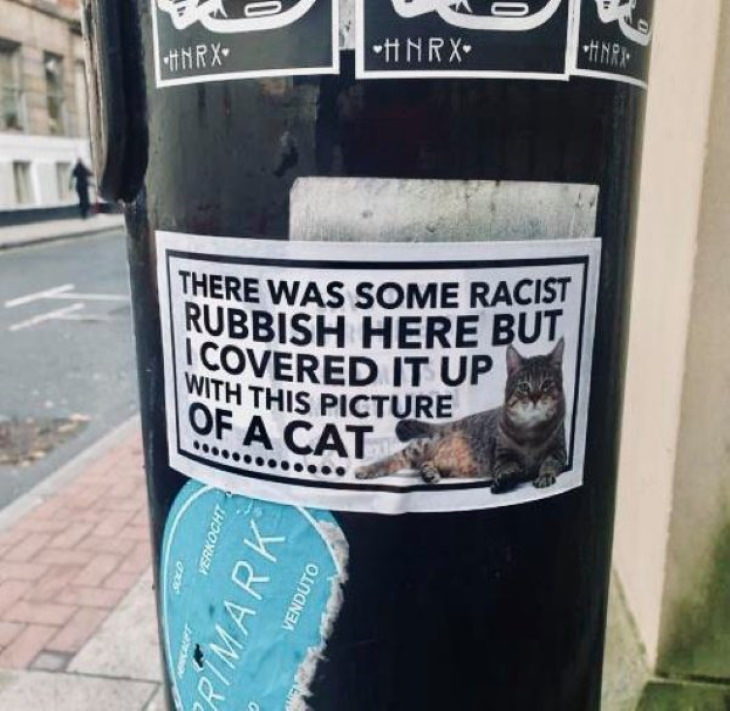 Wholesome Pics cat sticker