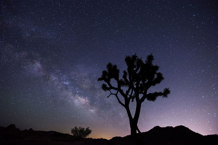 Places for Stargazing in the USA Joshua Tree National Park, California
