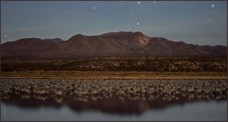 Places for Stargazing in the USA Bosque del Apache, New Mexico