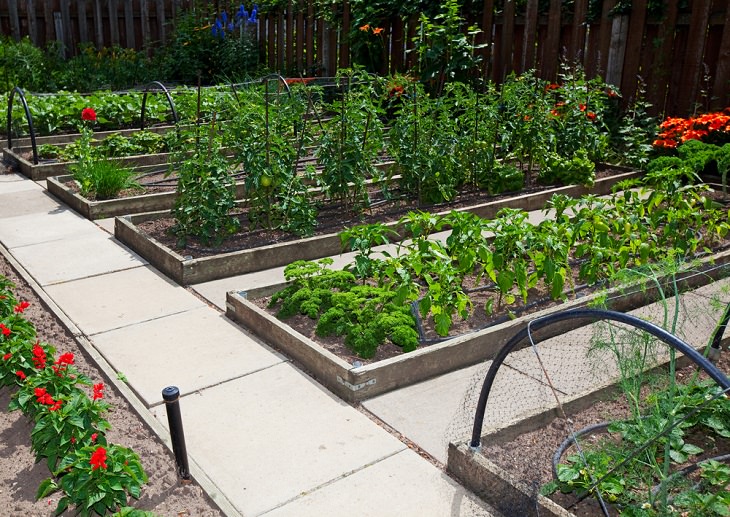 Unusual Gardening Methods,Raised Bed Gardening